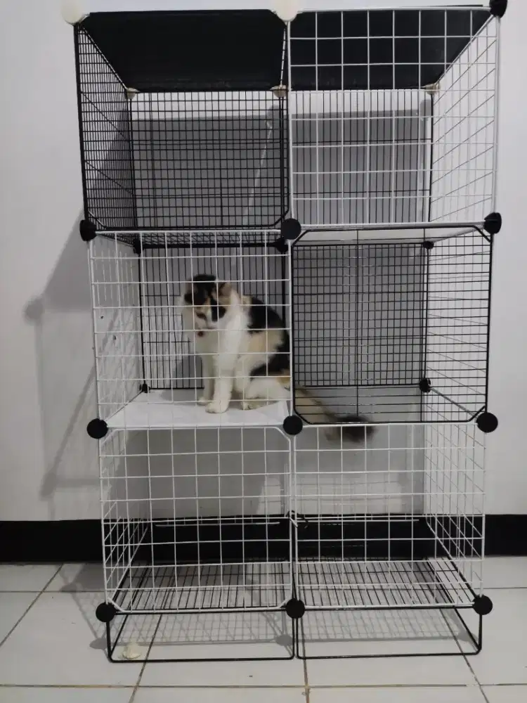 Kandang kucing bongkar pasang