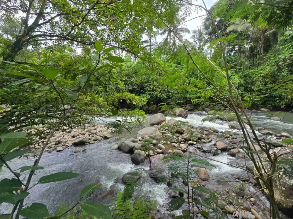 Dijual tanah los sungai di penebel tabanan bali