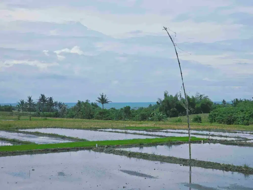 Dijual tanah view laut dekat pantai pasut di tabanan bali