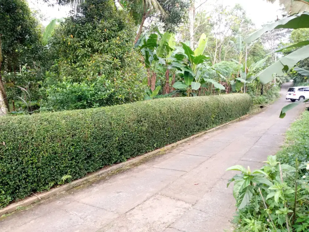 Di Jual Tanah diLimbangan Secepatnya!