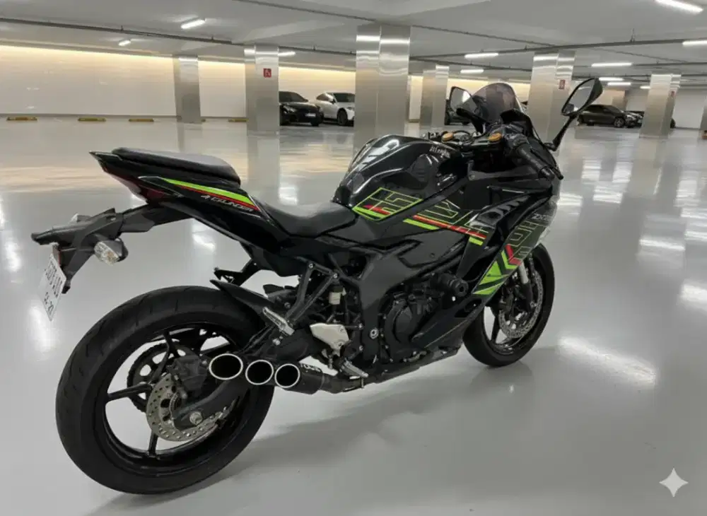 Kawasaki ninja zx 250 2023 banci