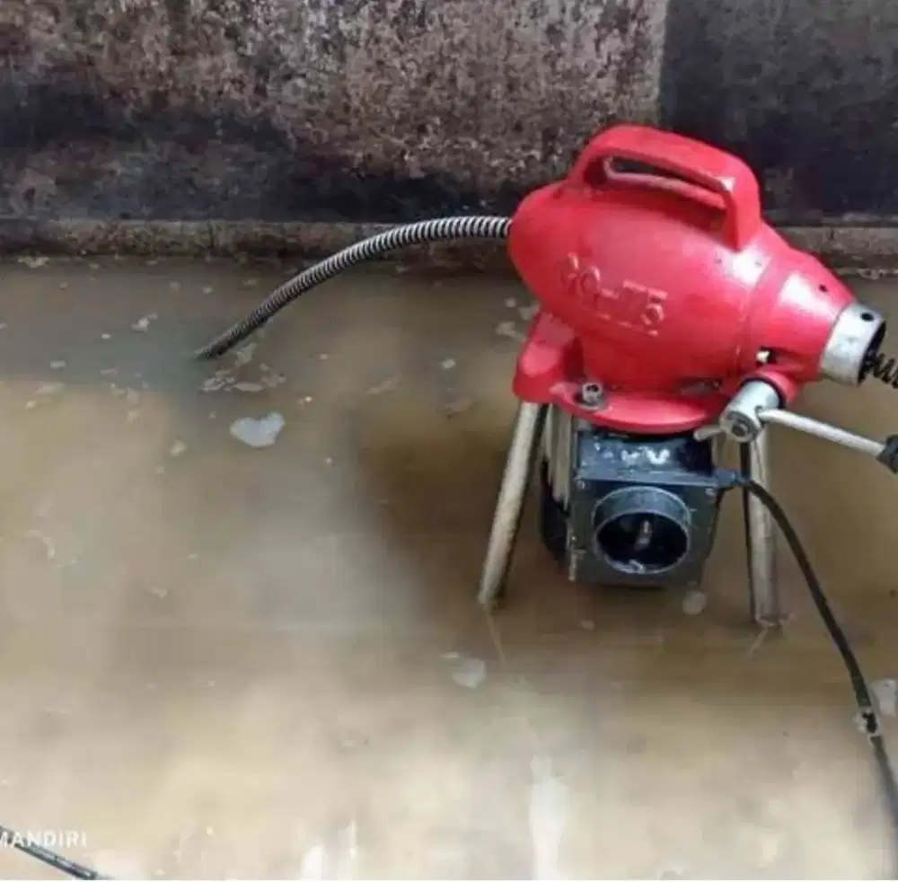 Raja mampet Denpasar