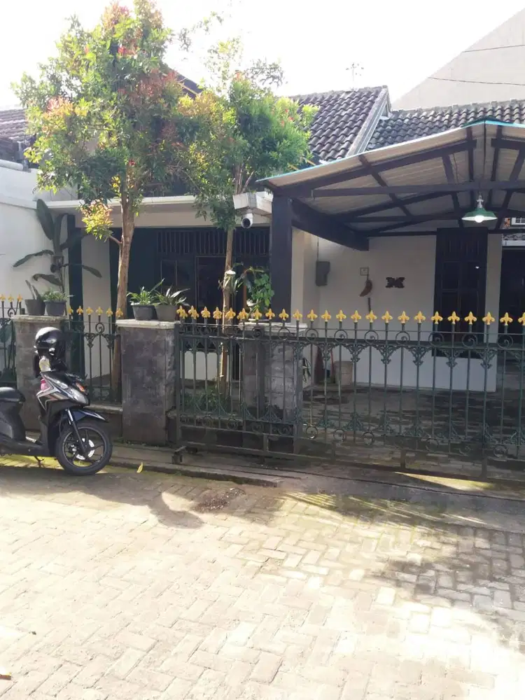 Disewakan Rumah Jalan Damai, Dayu Permai dekat Kampus