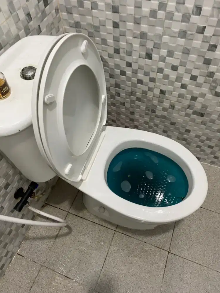 Tukang raja mampet pipa denpasar