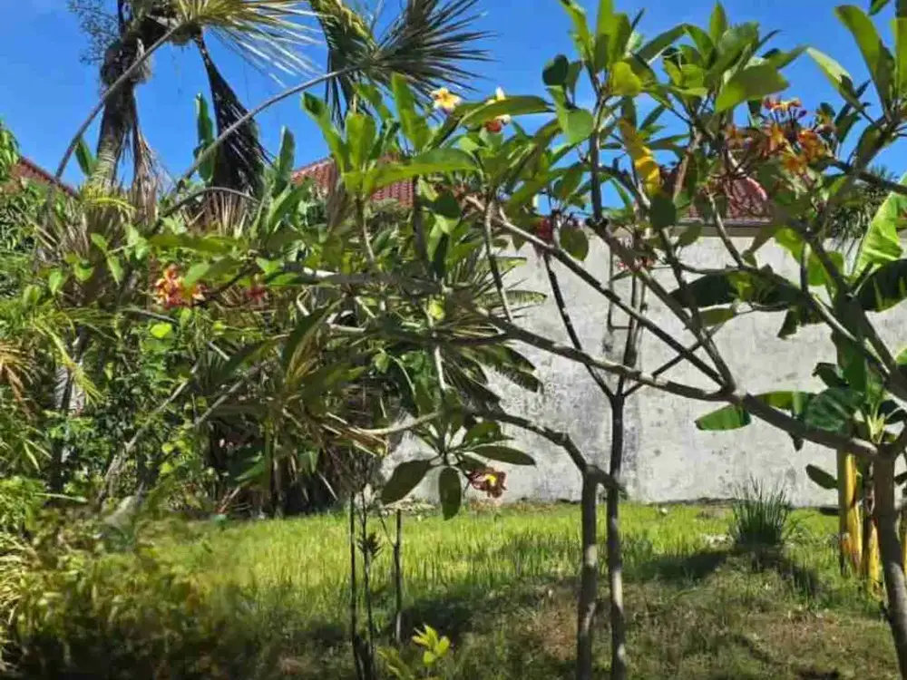 14.5jt/m Kavling Kertajaya indah regency dkt Pakuwon city, Araya 1, puri galaxy, regency 21, dharmahusada indah, Manyar kertoarjo