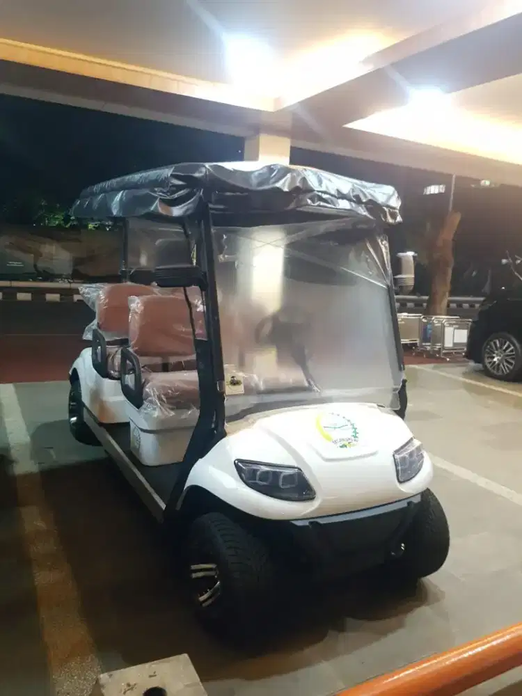 Buggy car golf car new bergaransi