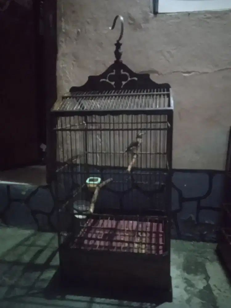 Jual kandang burung no 2 masih layak pakai sudah dipernis jari aman