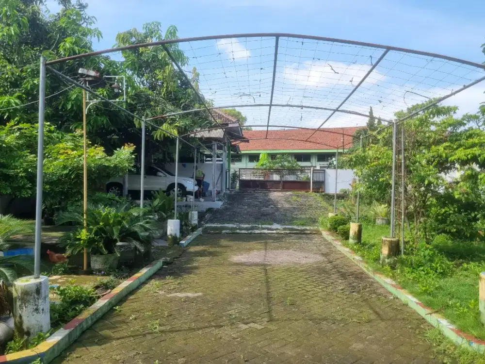 Rumah & Bangunan Sejuk, Asri, Luas Total 1297