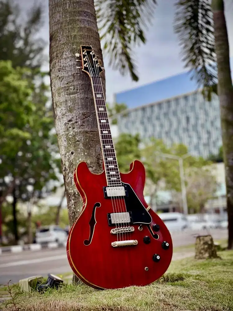 Aria Pro ll TA-60 Classic Semi Hollow Guitar