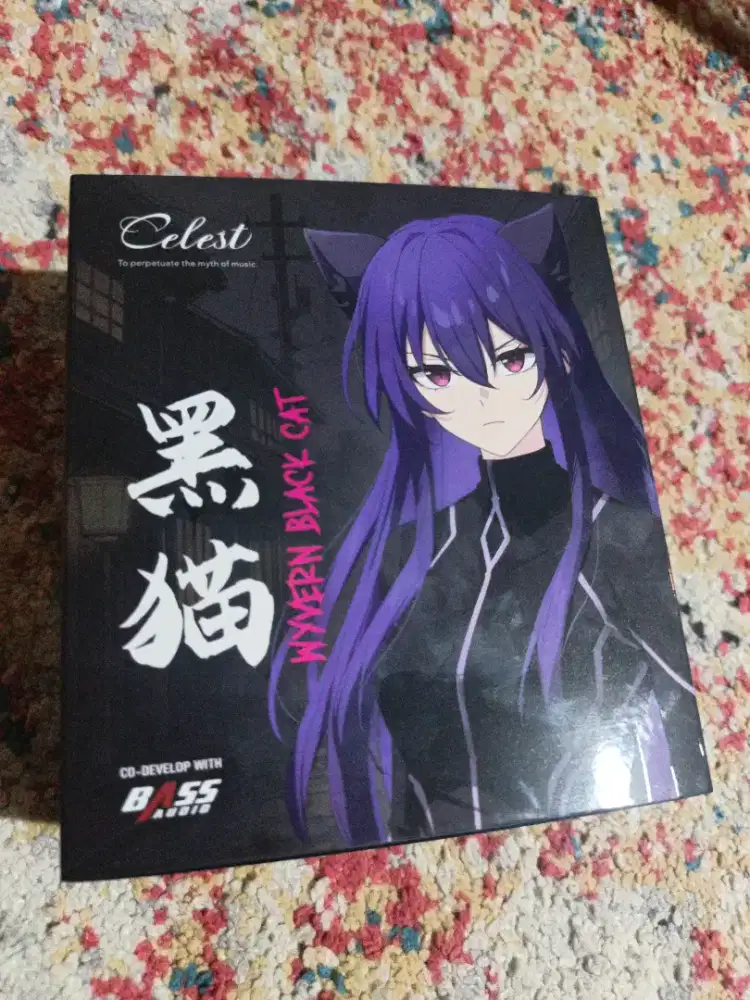 Kinera Celest Wyvvern Black CAT Dynamic Driver In Ear Monitor IEM