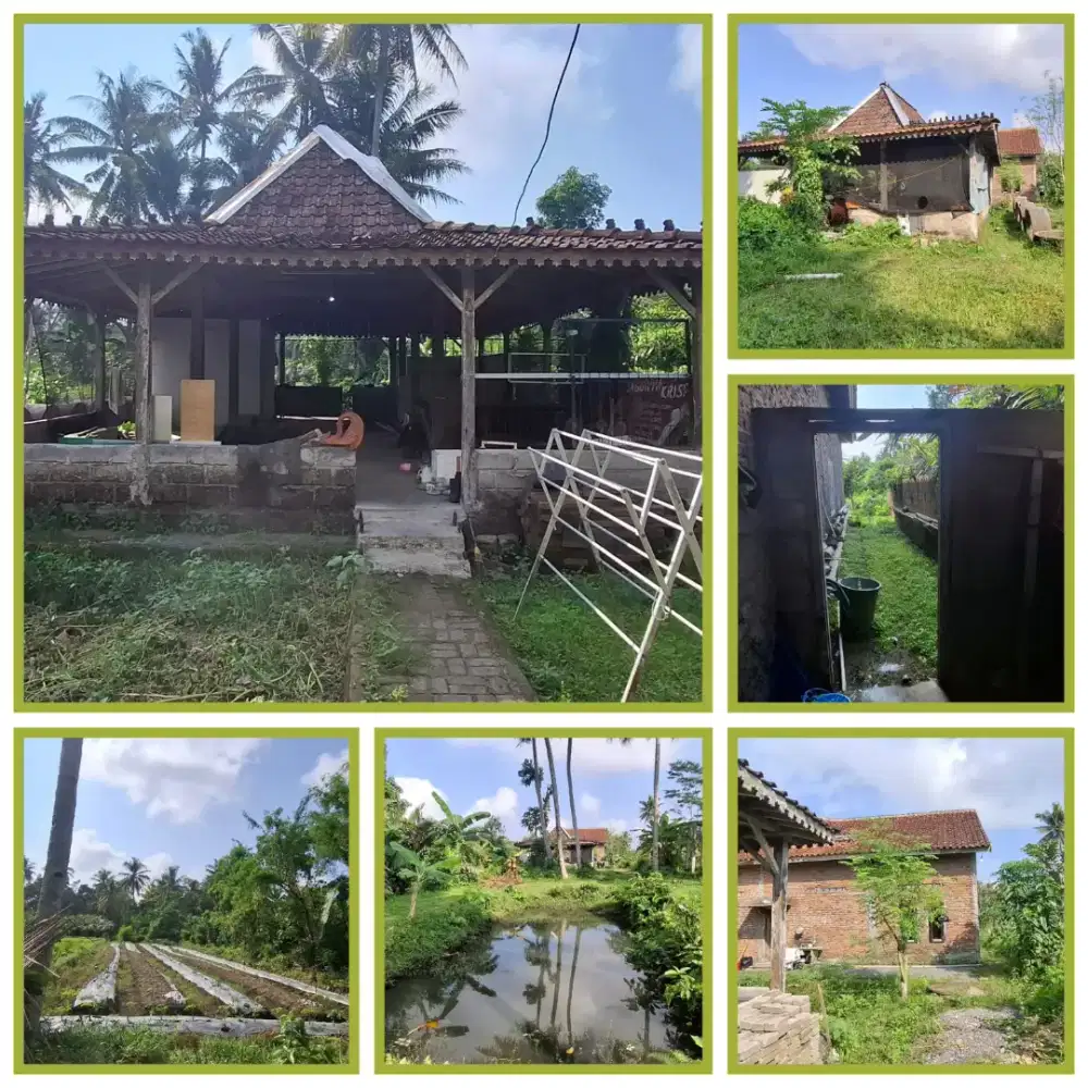 DIJUAL TANAH, TURI, FREE BANGUNAN