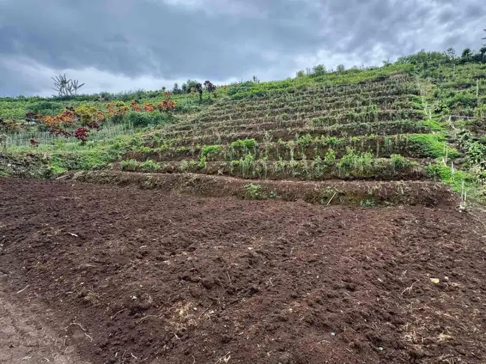 KEBUN MURAH KOTA BATU 400rb/m