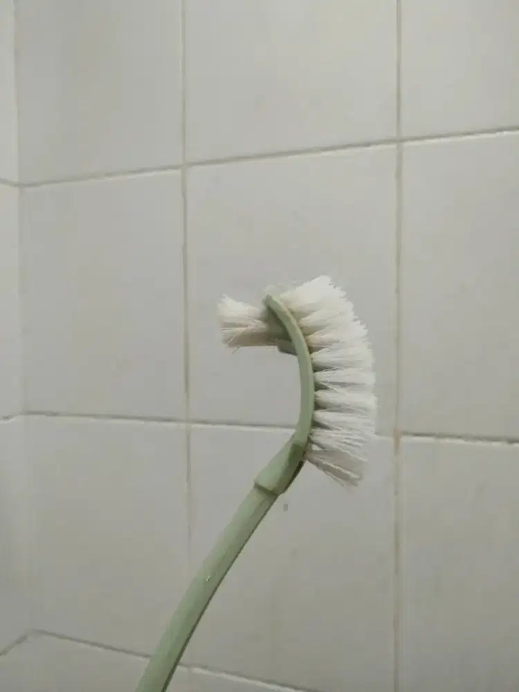 Sikat WC/Kamar mandi
