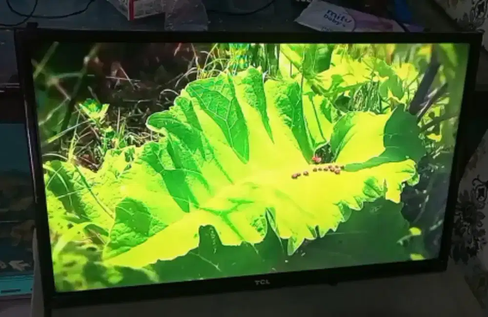 Tv LED TCL 29 inch & stb