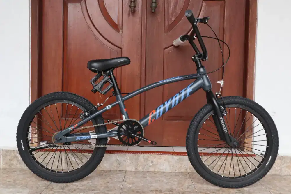 BMX 20 ELEMENT COYOTE 100VB