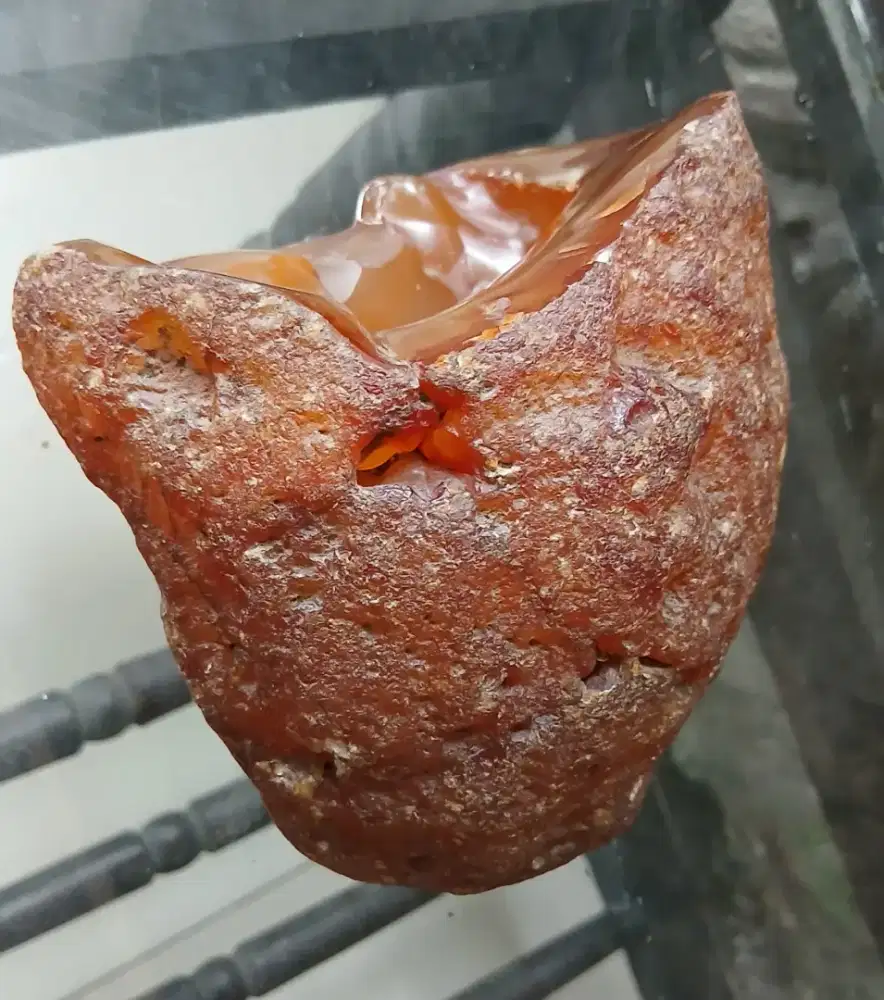 Batu Kuno lawas fosil