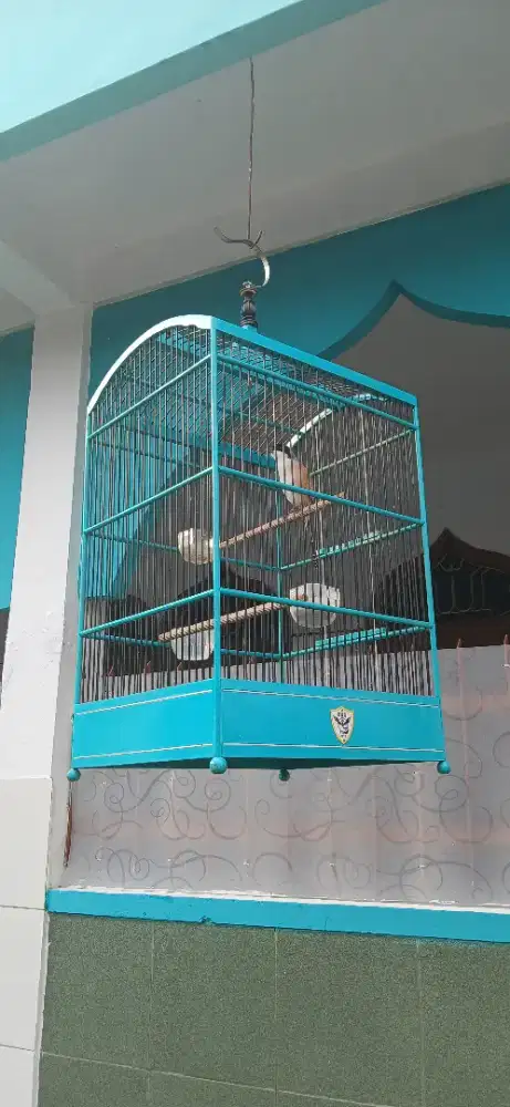 Cendet Madura Full set