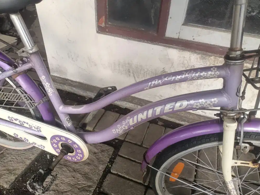 Sepeda united lavender Alloy uk24 siap pakai