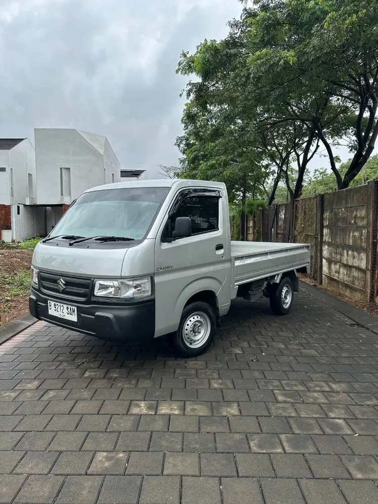 Suzuki Carry Pick Up