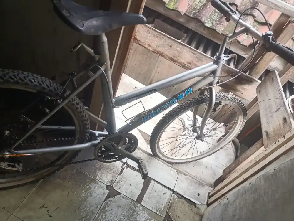 Sepeda Polygon lady uk24 operan normal rem pakem ban tebal semua