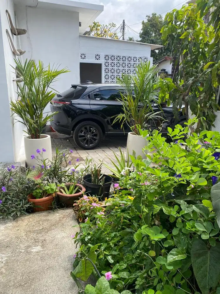 Bali private villa with pool