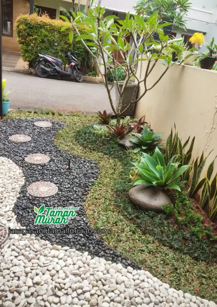 Tukang taman minimalis, pembuatan taman, Pasang rumput taman