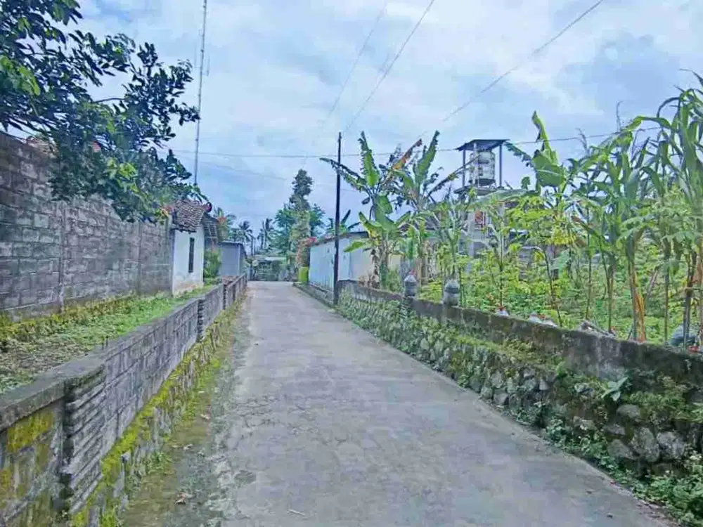 DIJUAL Tanah Pekarangan Dekat Kopi Rolas dan Kampus UII