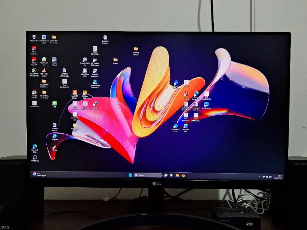 Monitor LG MK600 24 inch