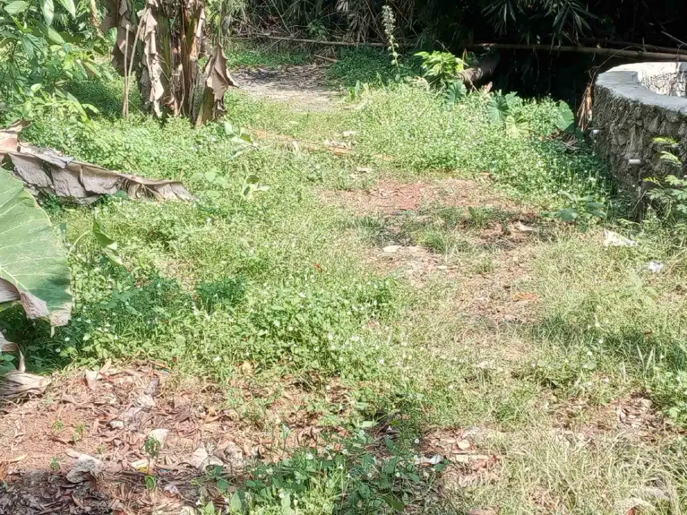 tanah kontrakan dijual dekat Jl Arternatif Cibubur