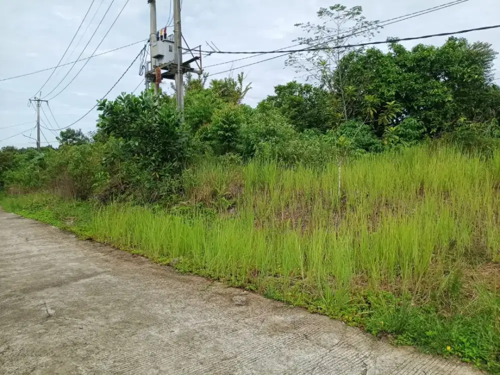 DIJUAL TANAH LUAS 2Ha SHM