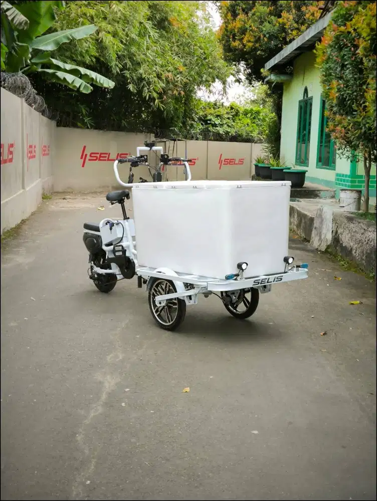 GEROBAK SEPEDA LISTRIK PREMIUM SELIS PUJASERA-4