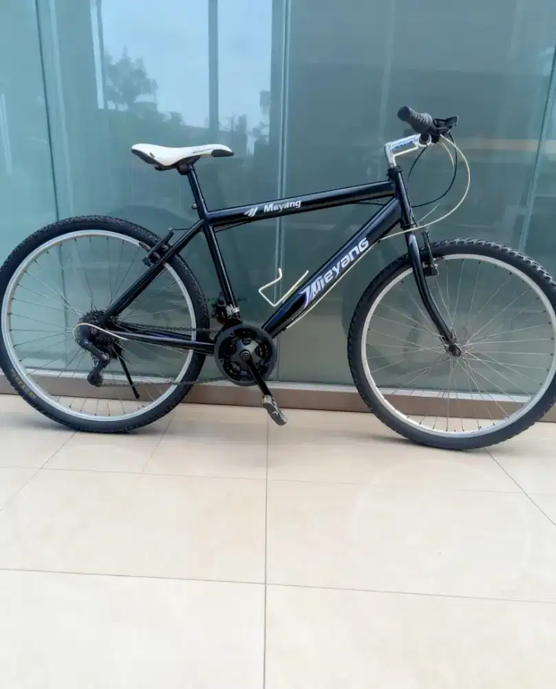 Sepeda gunung dewasa bekas murah