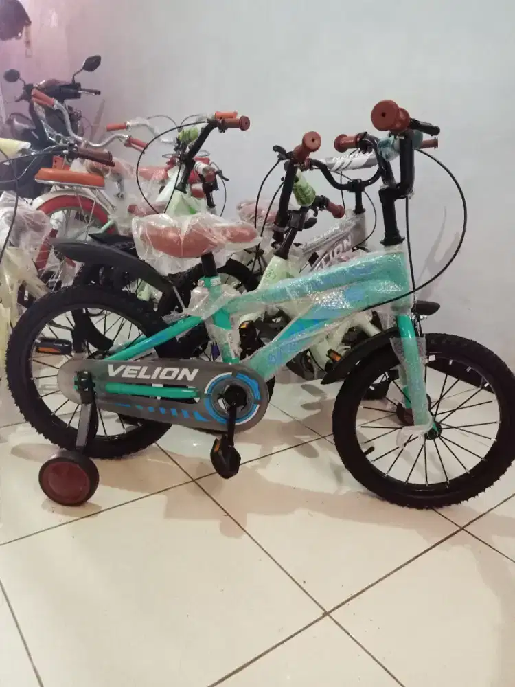 Jual sepeda anak baru murah