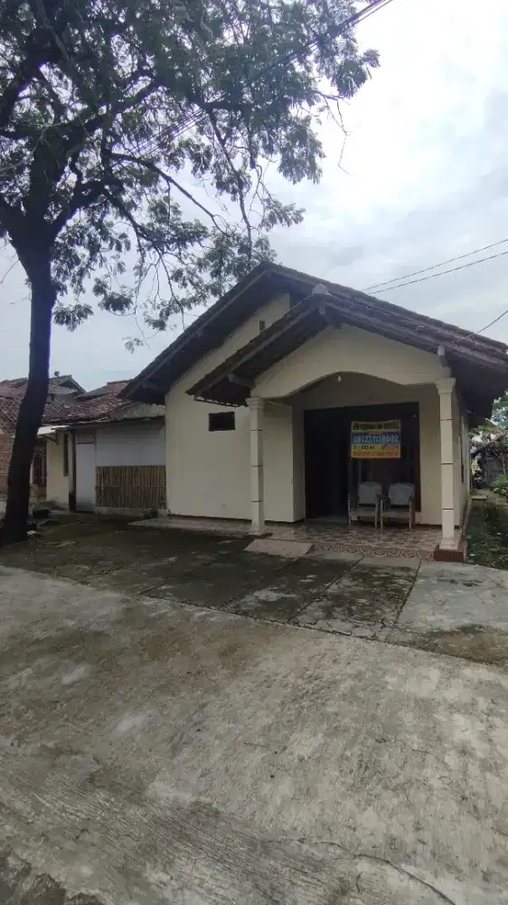 Rumah Pinggir Jalan Belakang Sawah Hitung Tanah Saja