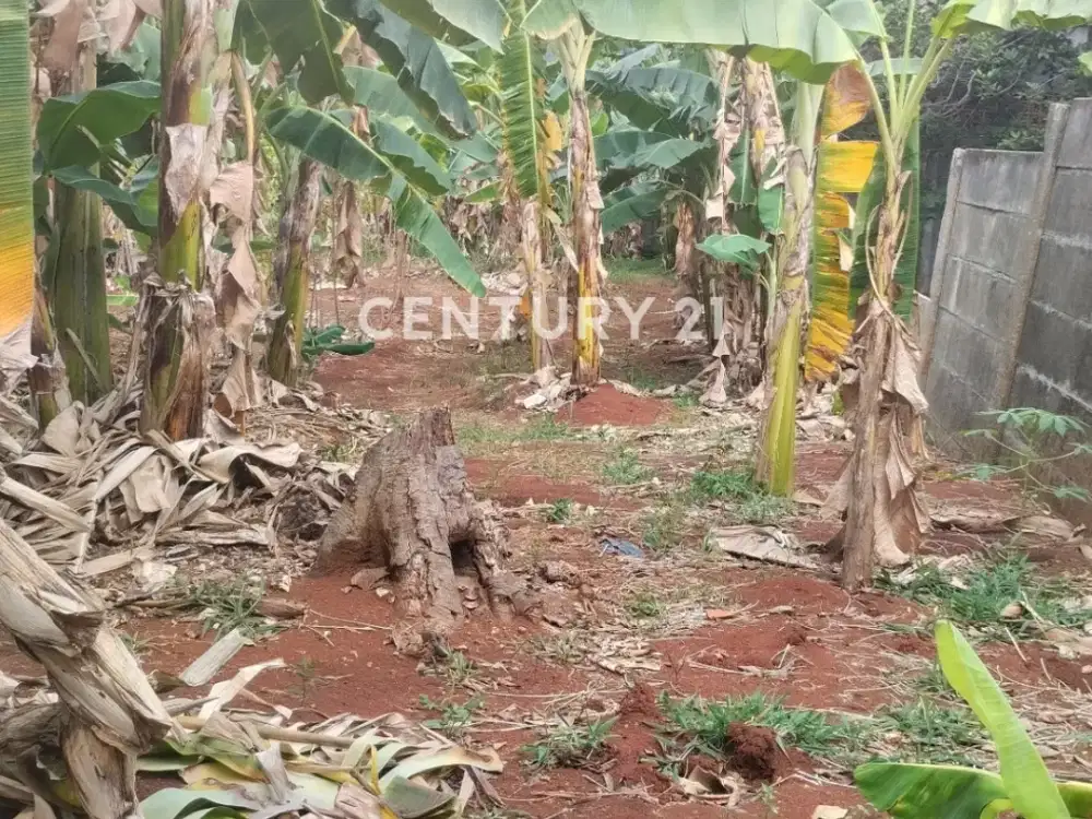 Dijual Tanah Yang Luas Untuk Hunian Dalam Perumahan