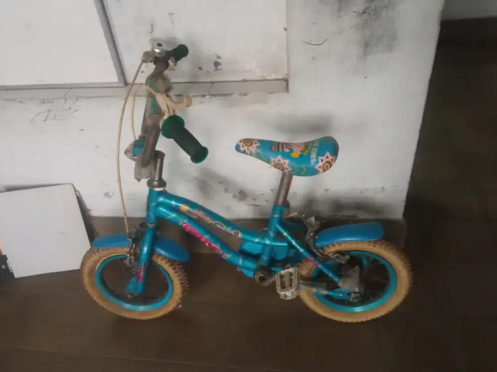 Sepeda Anak-anak Second