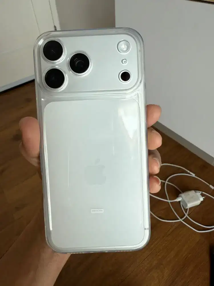 iPhone 17 Promax silver