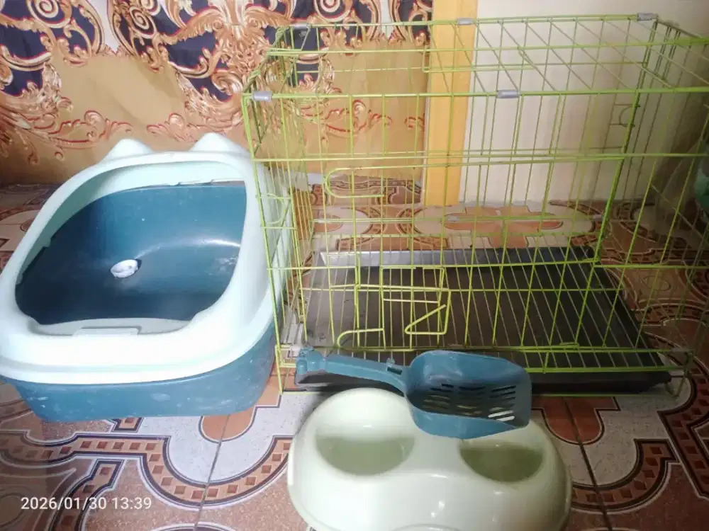 Kandang kucing,tempat pasir dan tempat makanan kucing