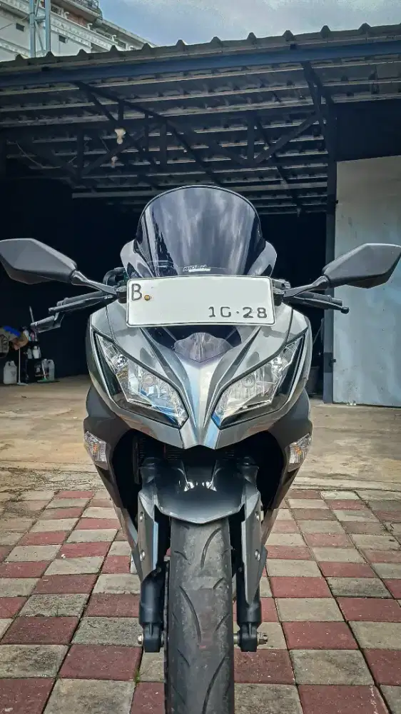 Kawasaki Ninja 250 2013 Low Km