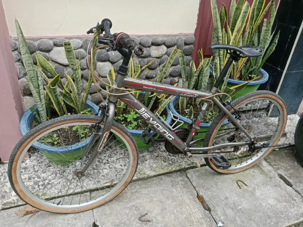 Sepeda jieyang warna abu abu