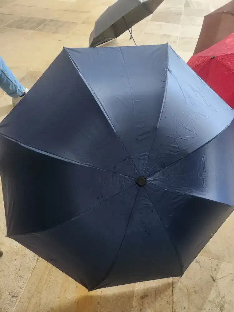 Payung mini hitam