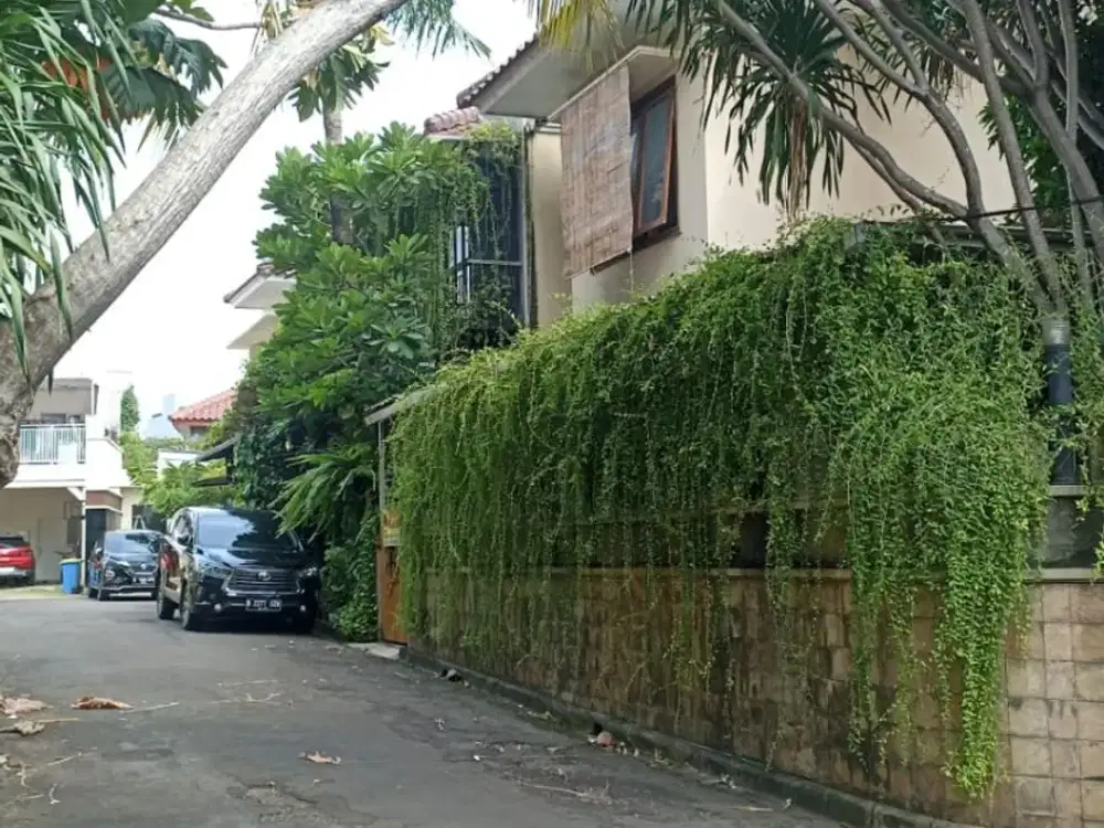Townhouse Asri Dengan Kolam Renang Pribadi Area Pejaten Barat Jakarta Selatan