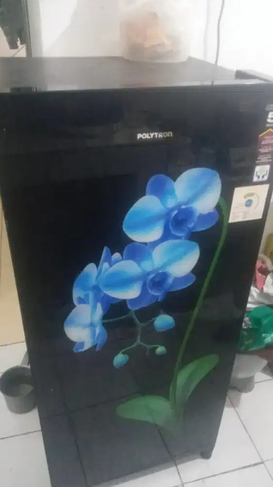 Kulkas 1 pintu polytrin