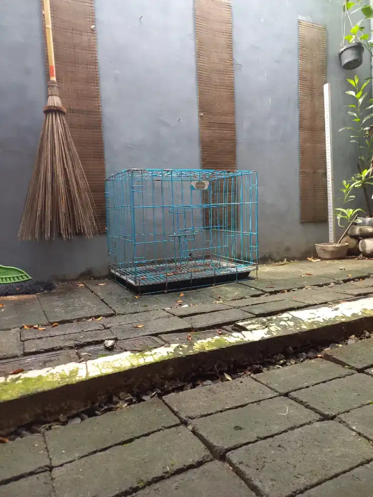 Kandang Kucing Lipat