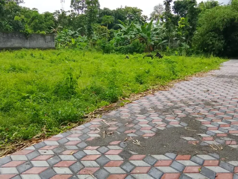 Tanah Jogja Kost Area Kampus UII Kaliurang SHM Pekarangan