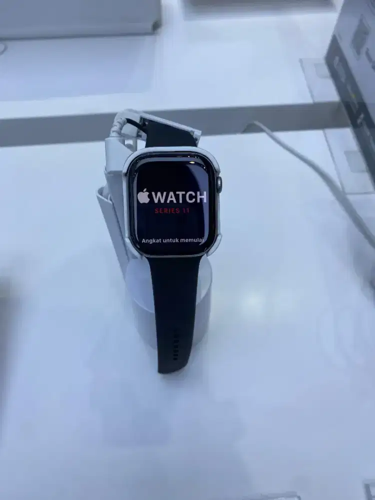 Apple Watch Series 11