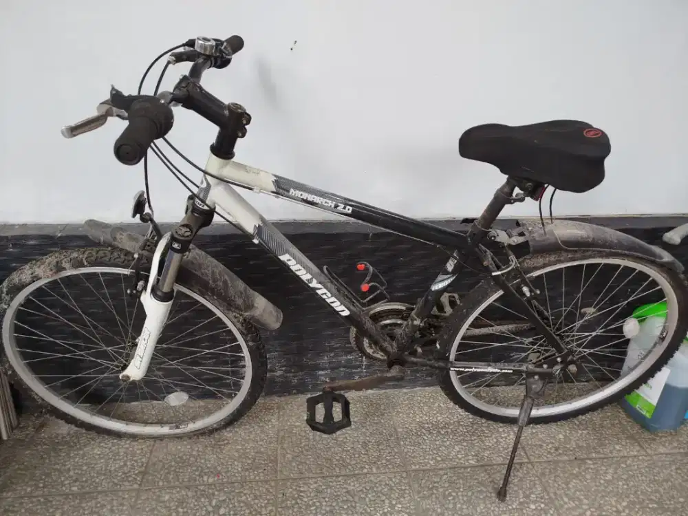 Sepeda Polygon Monarch 2.0