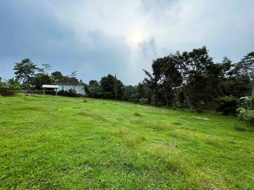 Tanah SHM seluas 1580m2 di daerah Wanayasa Purwakarta