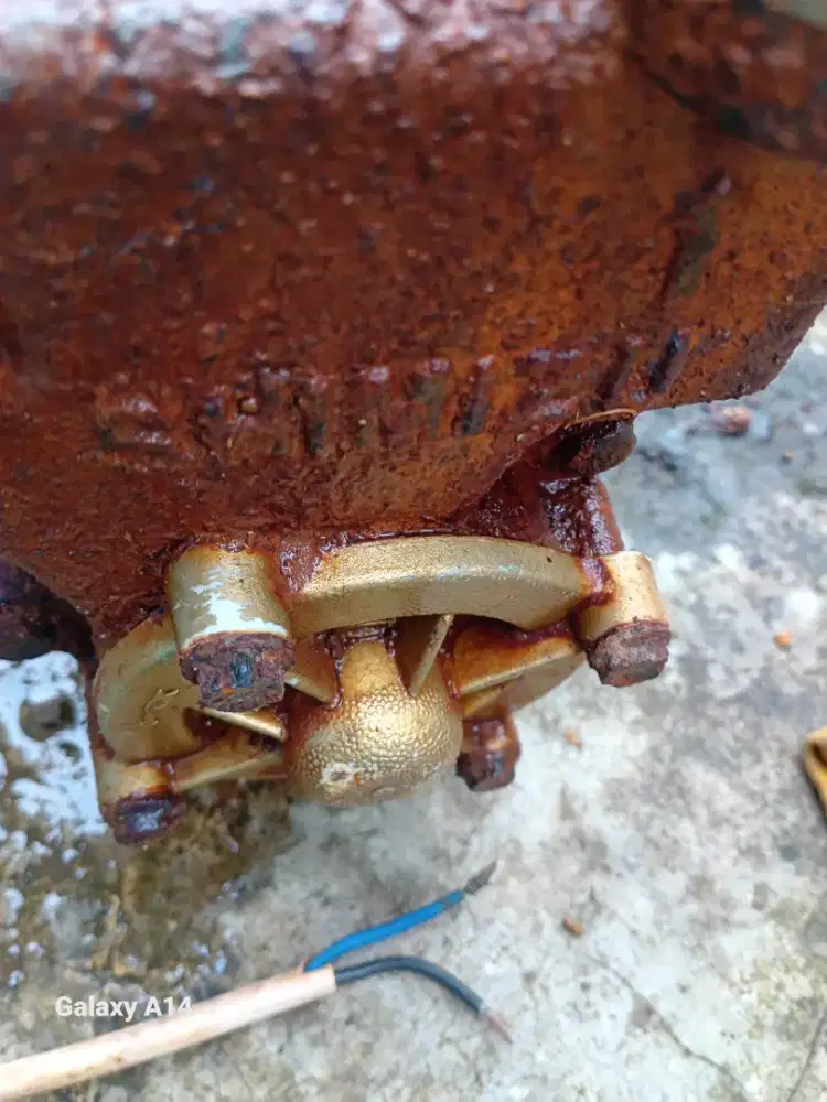 Pompano Shimizu.110 waat