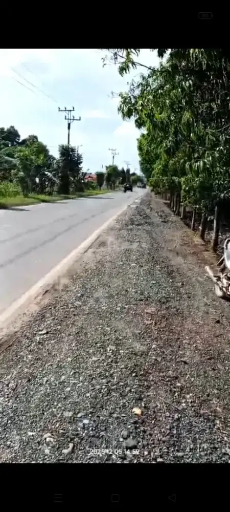 Dijual tanah kebun.. Isi pohon sengon kurang lebih 600